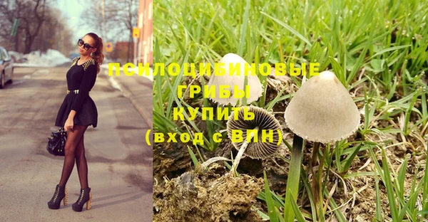 дживик Абинск