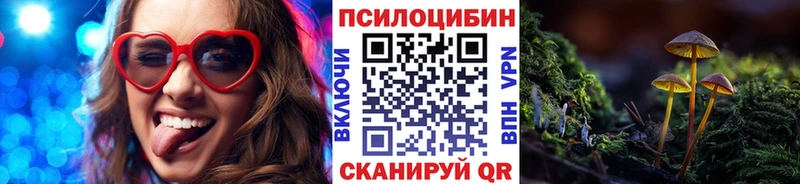маркетплейс телеграм  Кинешма  Галлюциногенные грибы Psilocybine cubensis  МЕГА ТОР 